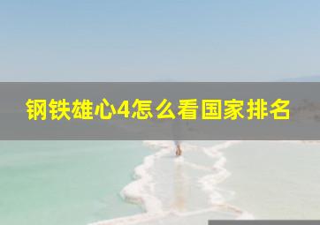 钢铁雄心4怎么看国家排名