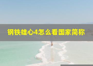 钢铁雄心4怎么看国家简称