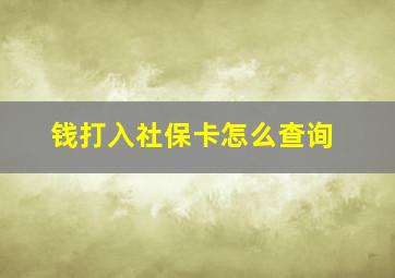 钱打入社保卡怎么查询