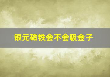 银元磁铁会不会吸金子