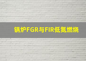 锅炉FGR与FIR低氮燃烧