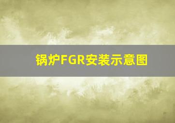 锅炉FGR安装示意图