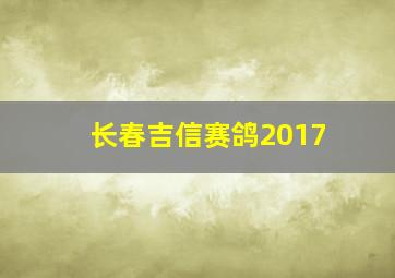 长春吉信赛鸽2017