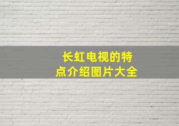 长虹电视的特点介绍图片大全