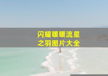 闪耀暖暖流星之羽图片大全