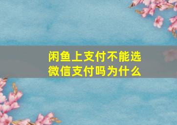 闲鱼上支付不能选微信支付吗为什么