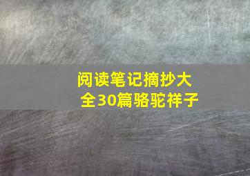 阅读笔记摘抄大全30篇骆驼祥子