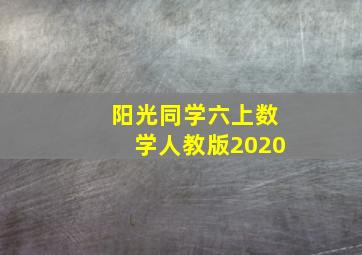 阳光同学六上数学人教版2020