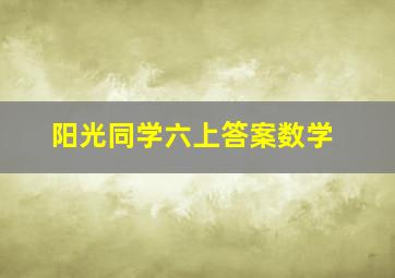 阳光同学六上答案数学