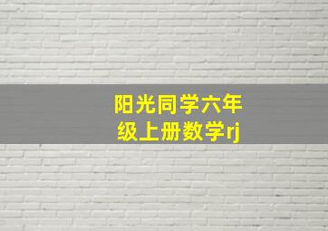 阳光同学六年级上册数学rj