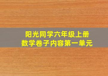 阳光同学六年级上册数学卷子内容第一单元