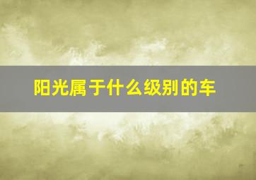 阳光属于什么级别的车