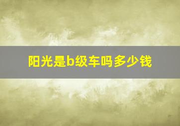 阳光是b级车吗多少钱