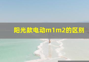 阳光款电动m1m2的区别