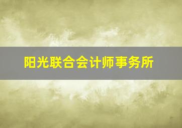 阳光联合会计师事务所