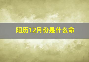 阳历12月份是什么命