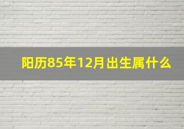 阳历85年12月出生属什么