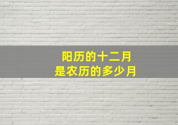 阳历的十二月是农历的多少月