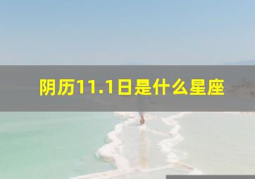 阴历11.1日是什么星座