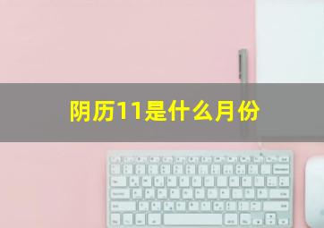 阴历11是什么月份