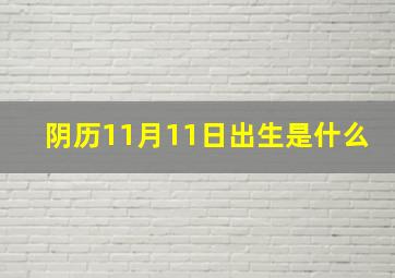 阴历11月11日出生是什么