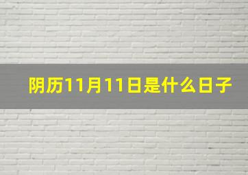 阴历11月11日是什么日子