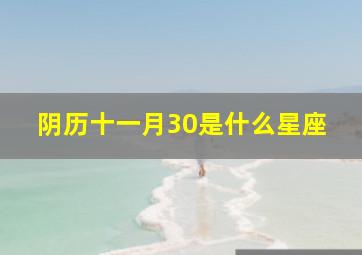 阴历十一月30是什么星座