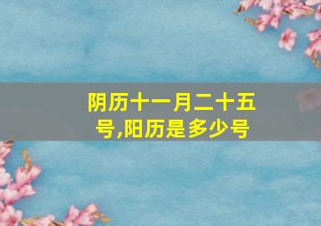 阴历十一月二十五号,阳历是多少号