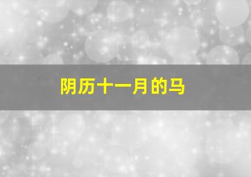 阴历十一月的马