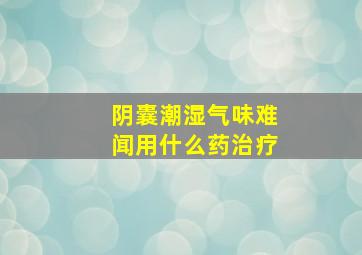 阴囊潮湿气味难闻用什么药治疗