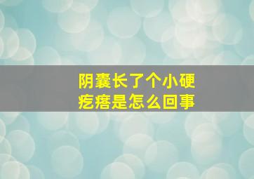 阴囊长了个小硬疙瘩是怎么回事