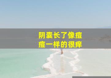 阴囊长了像痘痘一样的很痒