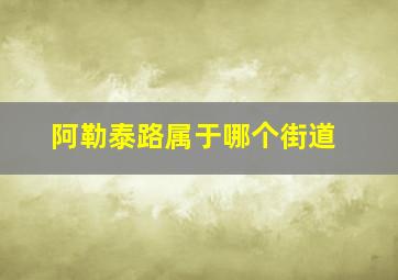 阿勒泰路属于哪个街道