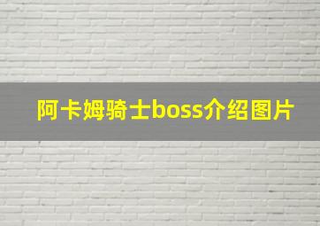 阿卡姆骑士boss介绍图片