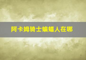 阿卡姆骑士蝙蝠人在哪