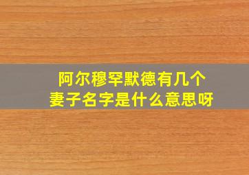 阿尔穆罕默德有几个妻子名字是什么意思呀