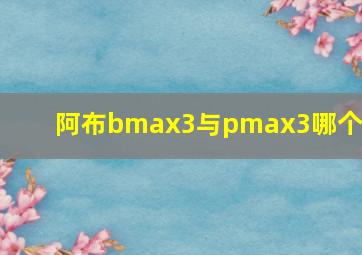 阿布bmax3与pmax3哪个好