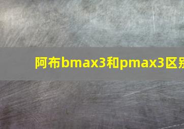 阿布bmax3和pmax3区别