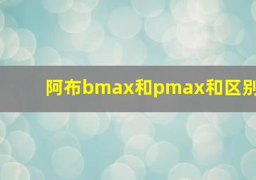 阿布bmax和pmax和区别