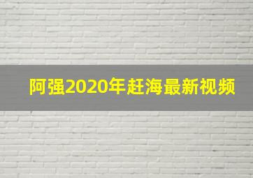 阿强2020年赶海最新视频