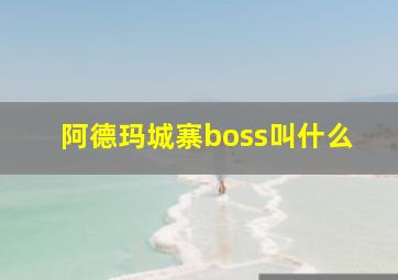 阿德玛城寨boss叫什么