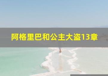 阿格里巴和公主大盗13章