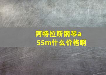 阿特拉斯钢琴a55m什么价格啊