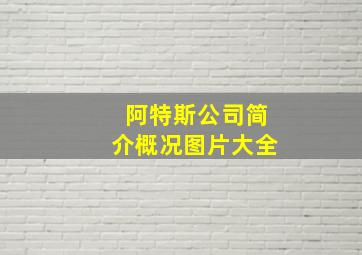 阿特斯公司简介概况图片大全