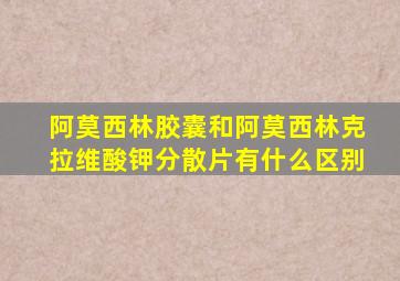 阿莫西林胶囊和阿莫西林克拉维酸钾分散片有什么区别