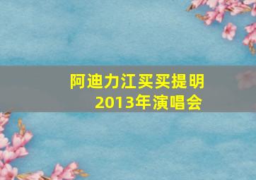 阿迪力江买买提明2013年演唱会