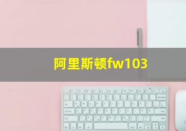 阿里斯顿fw103