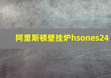 阿里斯顿壁挂炉hsones24