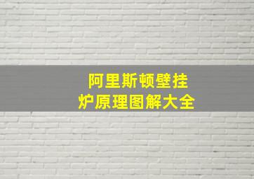 阿里斯顿壁挂炉原理图解大全