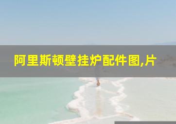 阿里斯顿壁挂炉配件图,片